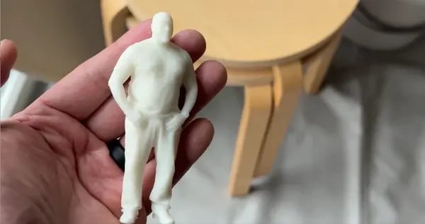 3D printed model