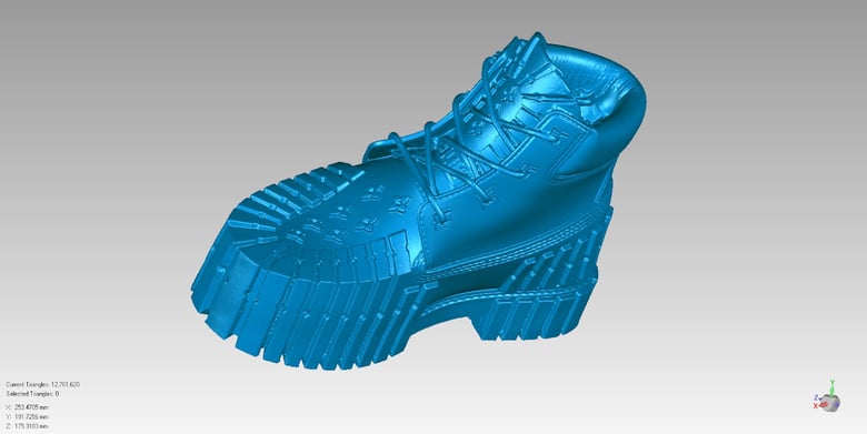 Сканированные данные всего ботинка 1