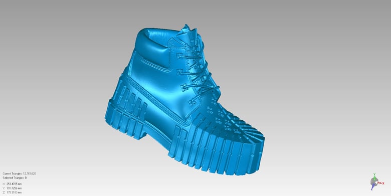 Сканированные данные всего ботинка 2