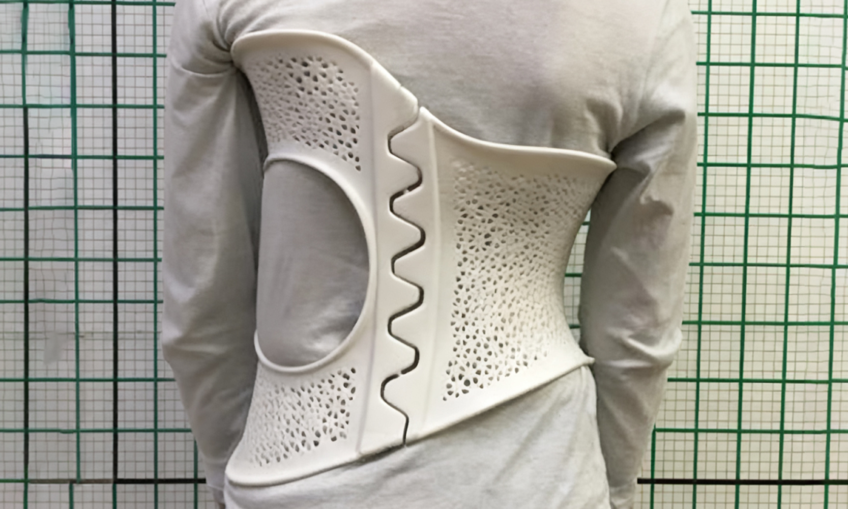 Позвоночник