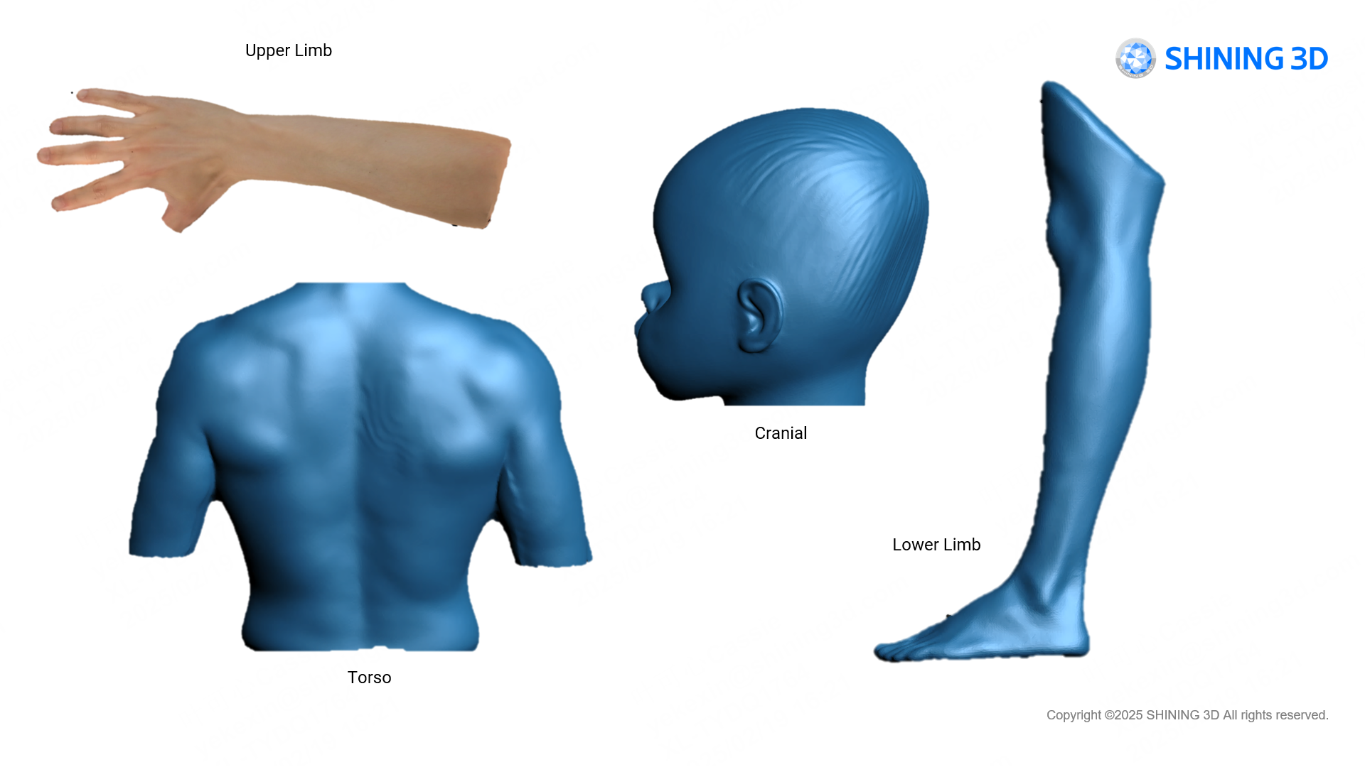 Высокое качество 3D-данных EXScan O&P