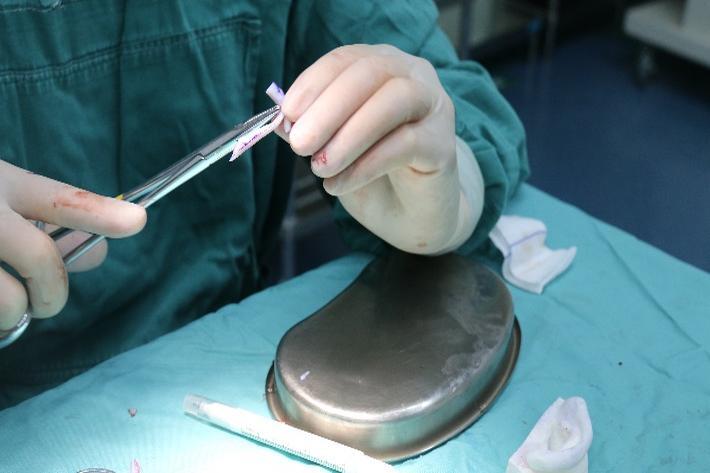 8-Oct-31-2025-10-36-25-1954-AM 8-Oct-31-2025-10-36-25-1954-AM