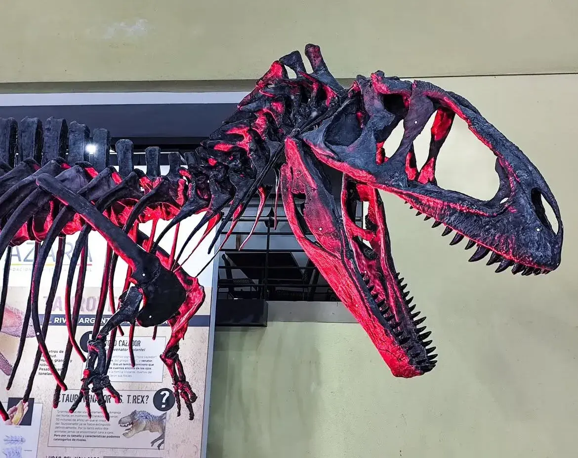 Модель, представленная на выставке